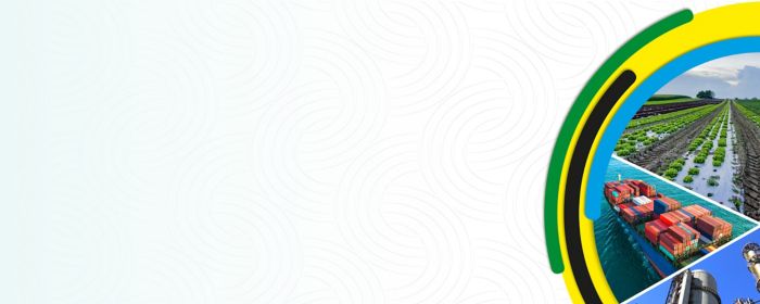 Tanzania 2021/2022 Budget Insights